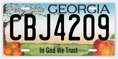GA license plate CBJ4209