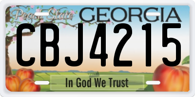 GA license plate CBJ4215