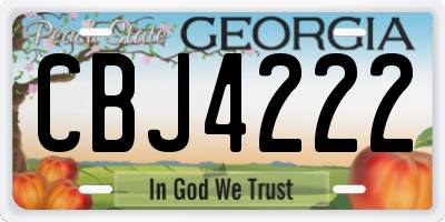 GA license plate CBJ4222