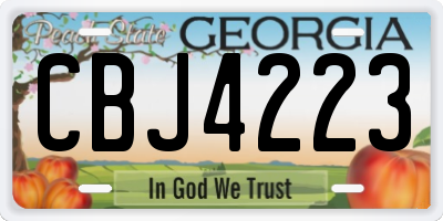 GA license plate CBJ4223
