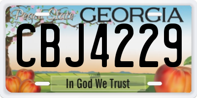 GA license plate CBJ4229