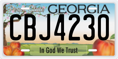 GA license plate CBJ4230