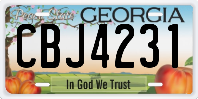 GA license plate CBJ4231