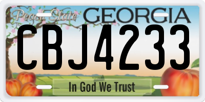 GA license plate CBJ4233