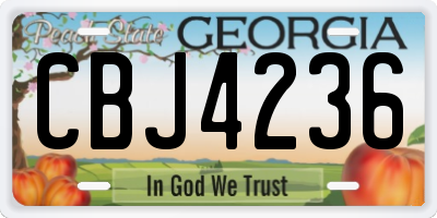 GA license plate CBJ4236