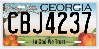 GA license plate CBJ4237