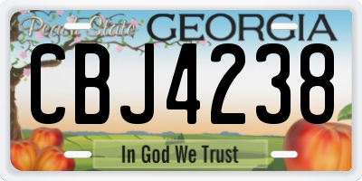 GA license plate CBJ4238