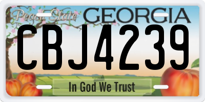 GA license plate CBJ4239