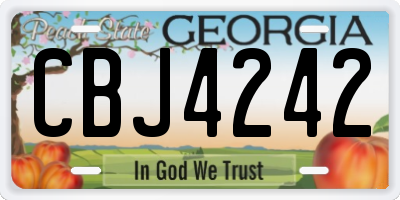 GA license plate CBJ4242