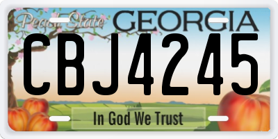 GA license plate CBJ4245