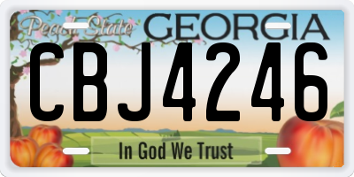 GA license plate CBJ4246