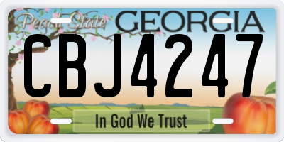 GA license plate CBJ4247