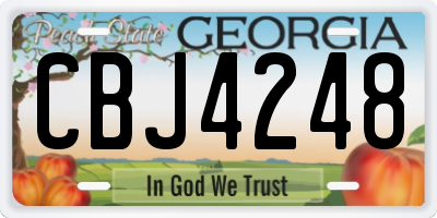 GA license plate CBJ4248
