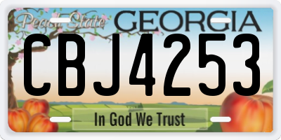 GA license plate CBJ4253