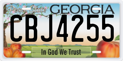 GA license plate CBJ4255