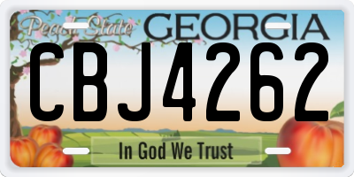 GA license plate CBJ4262