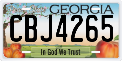 GA license plate CBJ4265