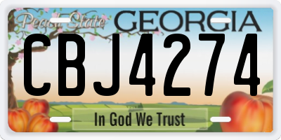 GA license plate CBJ4274