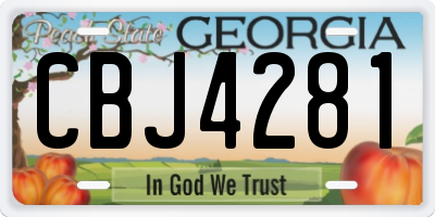 GA license plate CBJ4281