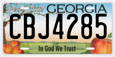 GA license plate CBJ4285