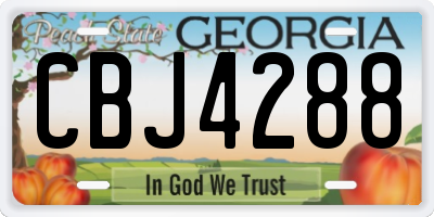 GA license plate CBJ4288