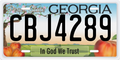 GA license plate CBJ4289