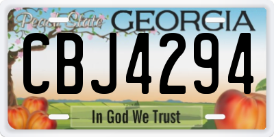 GA license plate CBJ4294