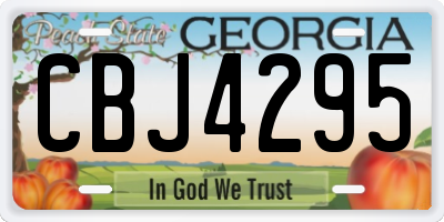 GA license plate CBJ4295