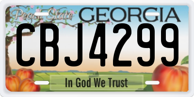 GA license plate CBJ4299