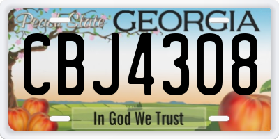 GA license plate CBJ4308