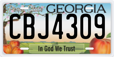 GA license plate CBJ4309
