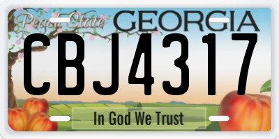 GA license plate CBJ4317