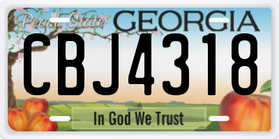 GA license plate CBJ4318