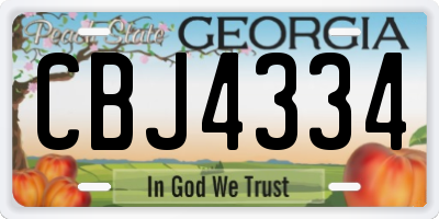 GA license plate CBJ4334