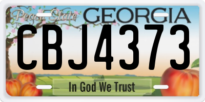 GA license plate CBJ4373