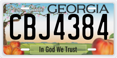 GA license plate CBJ4384