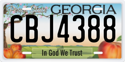 GA license plate CBJ4388