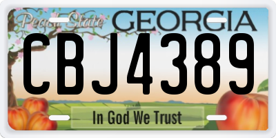 GA license plate CBJ4389