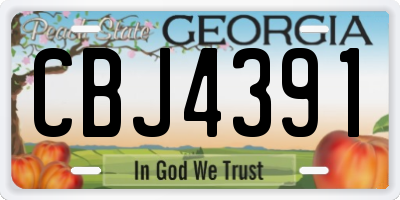 GA license plate CBJ4391