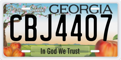 GA license plate CBJ4407