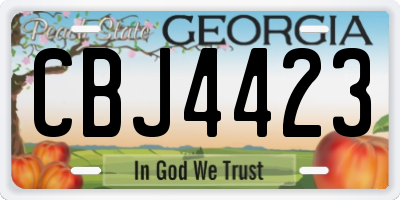 GA license plate CBJ4423