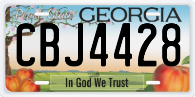 GA license plate CBJ4428