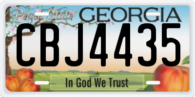 GA license plate CBJ4435