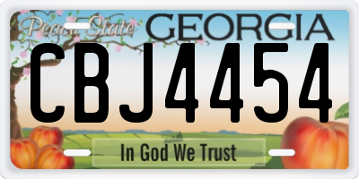 GA license plate CBJ4454