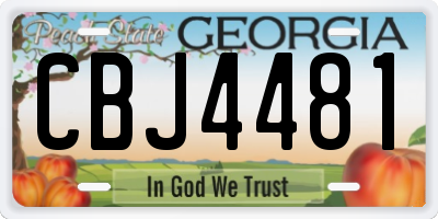 GA license plate CBJ4481