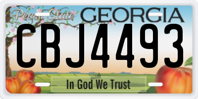 GA license plate CBJ4493