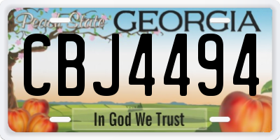 GA license plate CBJ4494