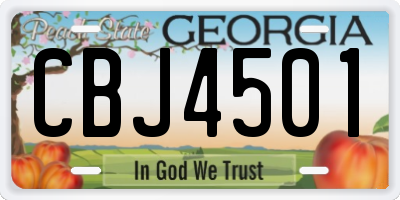 GA license plate CBJ4501