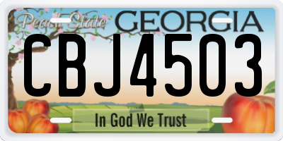 GA license plate CBJ4503