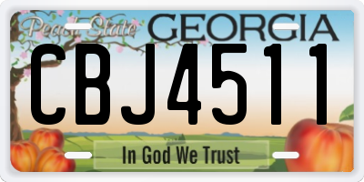 GA license plate CBJ4511